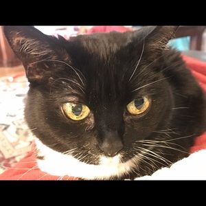 Meet your Posher, Jo